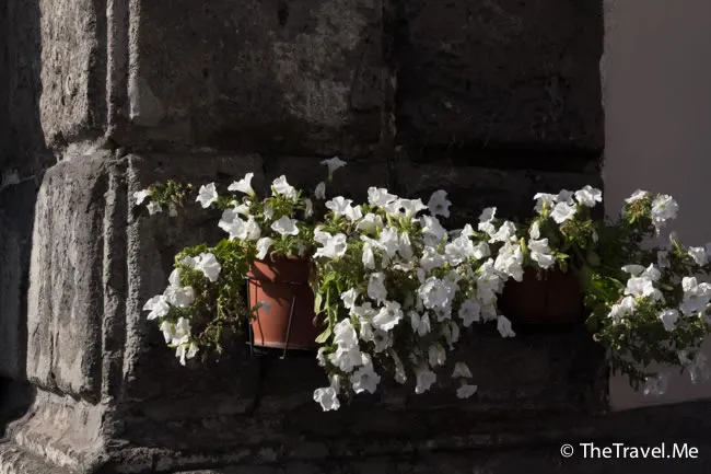 粗眉仔, 旅遊, 文化遺產, 藝術, 歐洲, 意大利, 梵蒂岡, 羅馬, 翡冷翠, 佛羅倫斯, 拿波里, 那不勒斯, 龐貝, 古蹟, 文藝復興, travel, Europe, Italy, Rome, Napoli, Florence, Renaissance, Pompeii, relics, Vatican, sorrento