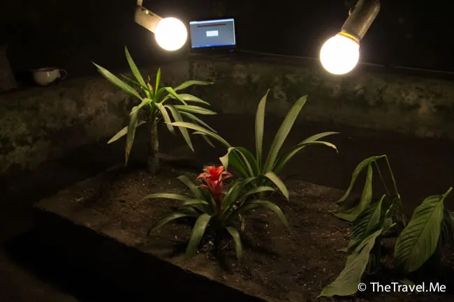 粗眉仔, 旅遊, 文化遺產, 藝術, 歐洲, 意大利, 梵蒂岡, 羅馬, 翡冷翠, 佛羅倫斯, 拿波里, 那不勒斯, 龐貝, 古蹟, 文藝復興, travel, Europe, Italy, Rome, Napoli, Florence, Renaissance, Pompeii, relics, Vatican