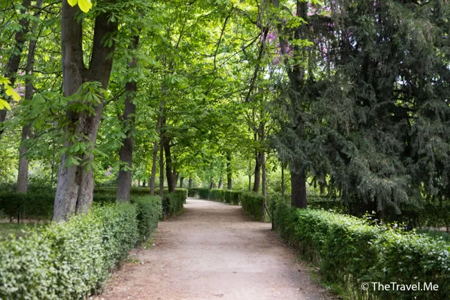 旅遊, Travel, 渡假, 觀光, sightseeing, 歐洲, europe, 西班牙, spain, 馬德里, Madrid, 沙拉哥薩, Zaragoz, 巴塞隆拿, Barcelona, 美食, delicacies