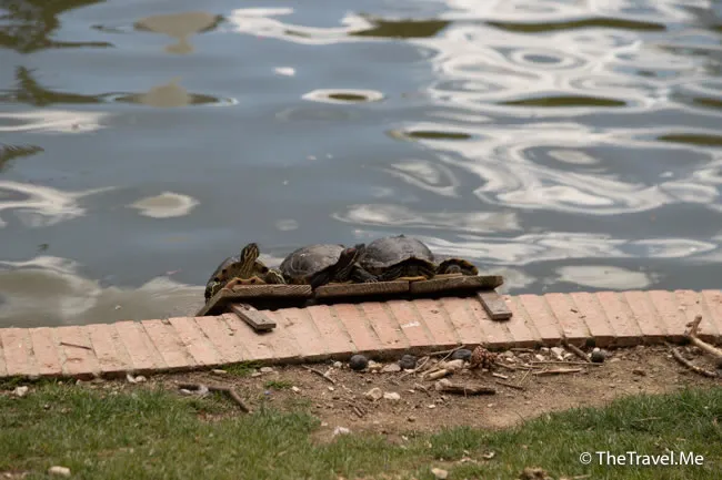 旅遊, Travel, 渡假, 觀光, sightseeing, 歐洲, europe, 西班牙, spain, 馬德里, Madrid, 沙拉哥薩, Zaragoz, 巴塞隆拿, Barcelona, 美食, delicacies