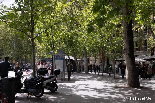 旅遊, Travel, 渡假, 觀光, sightseeing, 歐洲, europe, 西班牙, spain, 馬德里, Madrid, 沙拉哥薩, Zaragoz, 巴塞隆拿, Barcelona, 美食, delicacies