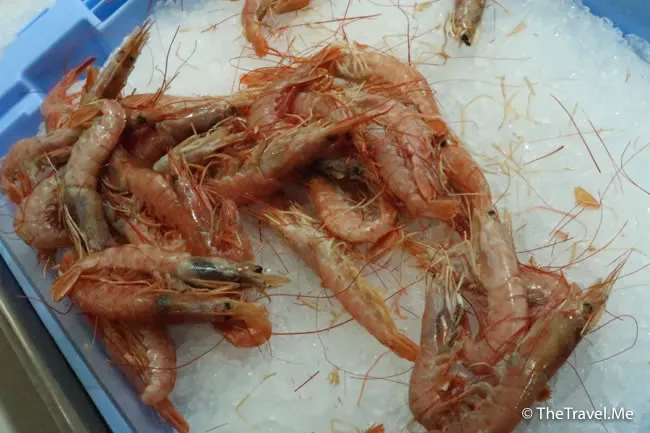 旅遊, Travel, 渡假, 觀光, sightseeing, 歐洲, europe, 西班牙, spain, 馬德里, Madrid, 沙拉哥薩, Zaragoz, 巴塞隆拿, Barcelona, 美食, delicacies