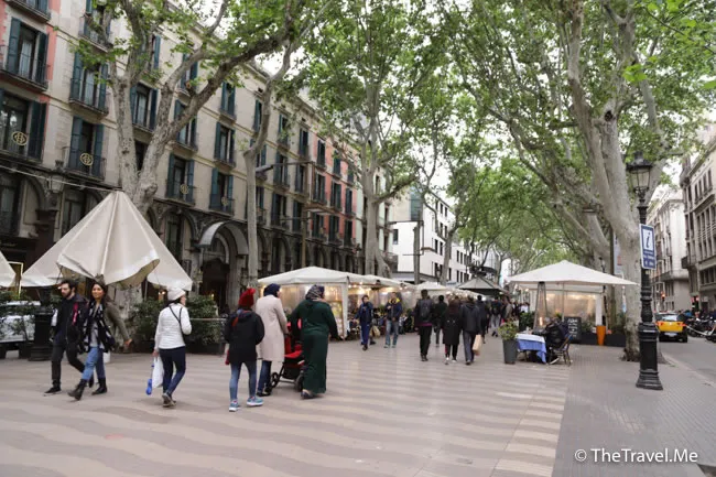 旅遊, Travel, 渡假, 觀光, sightseeing, 歐洲, europe, 西班牙, spain, 馬德里, Madrid, 沙拉哥薩, Zaragoz, 巴塞隆拿, Barcelona, 美食, delicacies