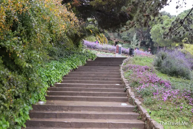 旅遊, Travel, 渡假, 觀光, sightseeing, 歐洲, europe, 西班牙, spain, 馬德里, Madrid, 沙拉哥薩, Zaragoz, 巴塞隆拿, Barcelona, 美食, delicacies