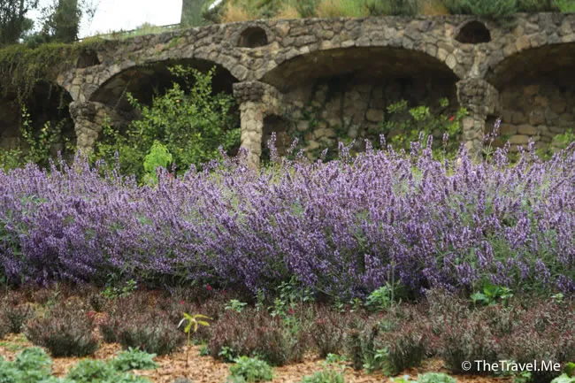 旅遊, Travel, 渡假, 觀光, sightseeing, 歐洲, europe, 西班牙, spain, 馬德里, Madrid, 沙拉哥薩, Zaragoz, 巴塞隆拿, Barcelona, 美食, delicacies