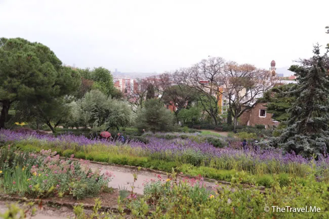 旅遊, Travel, 渡假, 觀光, sightseeing, 歐洲, europe, 西班牙, spain, 馬德里, Madrid, 沙拉哥薩, Zaragoz, 巴塞隆拿, Barcelona, 美食, delicacies