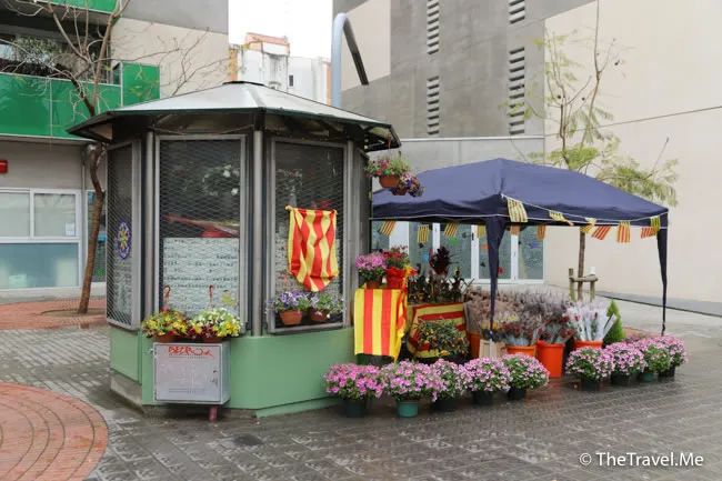 旅遊, Travel, 渡假, 觀光, sightseeing, 歐洲, europe, 西班牙, spain, 馬德里, Madrid, 沙拉哥薩, Zaragoz, 巴塞隆拿, Barcelona, 美食, delicacies