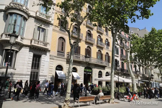 旅遊, Travel, 渡假, 觀光, sightseeing, 歐洲, europe, 西班牙, spain, 馬德里, Madrid, 沙拉哥薩, Zaragoz, 巴塞隆拿, Barcelona, 美食, delicacies