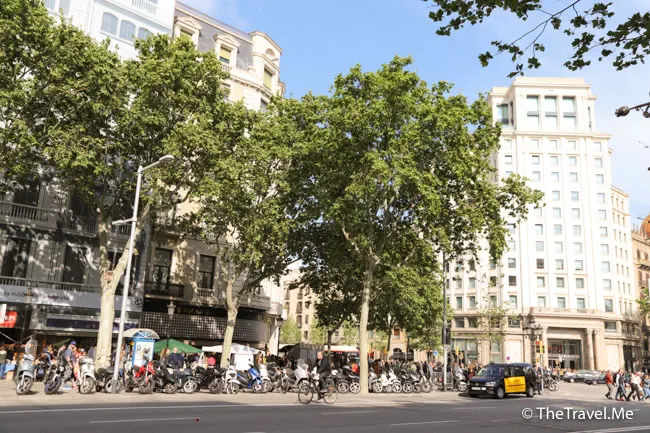 旅遊, Travel, 渡假, 觀光, sightseeing, 歐洲, europe, 西班牙, spain, 馬德里, Madrid, 沙拉哥薩, Zaragoz, 巴塞隆拿, Barcelona, 美食, delicacies