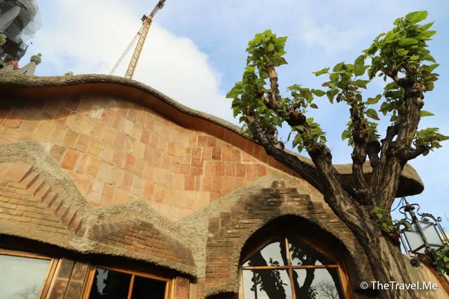 旅遊, Travel, 渡假, 觀光, sightseeing, 歐洲, europe, 西班牙, spain, 馬德里, Madrid, 沙拉哥薩, Zaragoz, 巴塞隆拿, Barcelona, 美食, delicacies